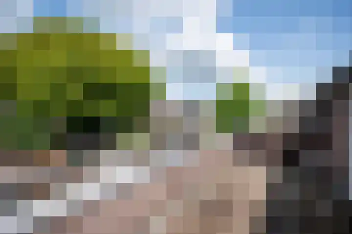 Fazantenkamp 393 Maarssen thumbnail 25