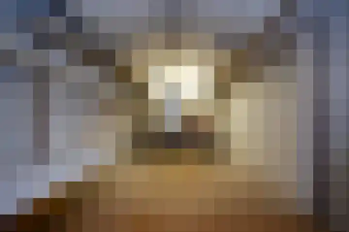 Fazantenkamp 393 Maarssen thumbnail 35
