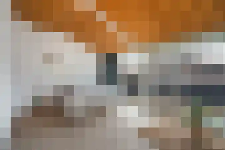 Fazantenkamp 395 Maarssen thumbnail 19