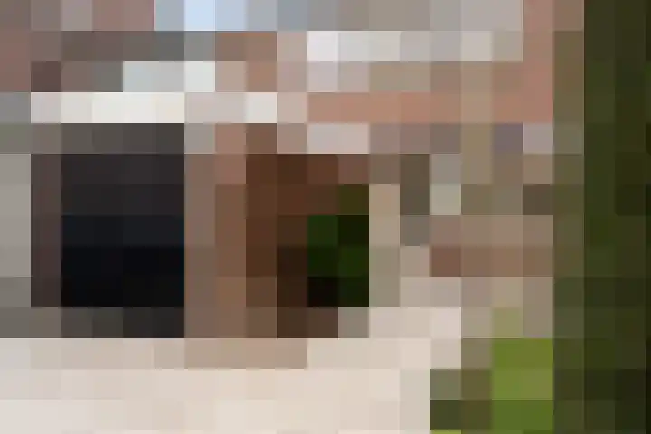 Fazantenkamp 395 Maarssen thumbnail 29