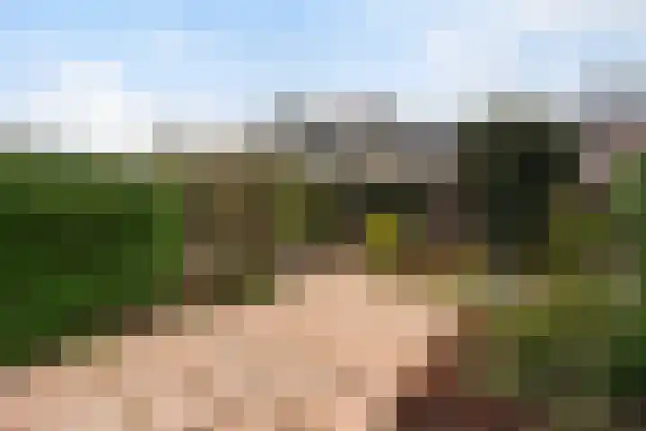 Fazantenkamp 395 Maarssen thumbnail 5