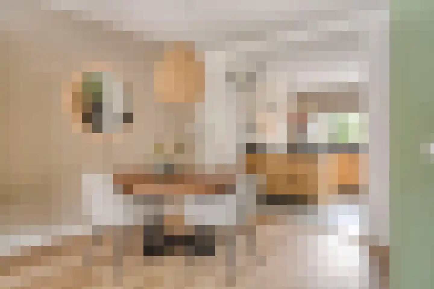 Fazantenkamp 405 Maarssen thumbnail 18