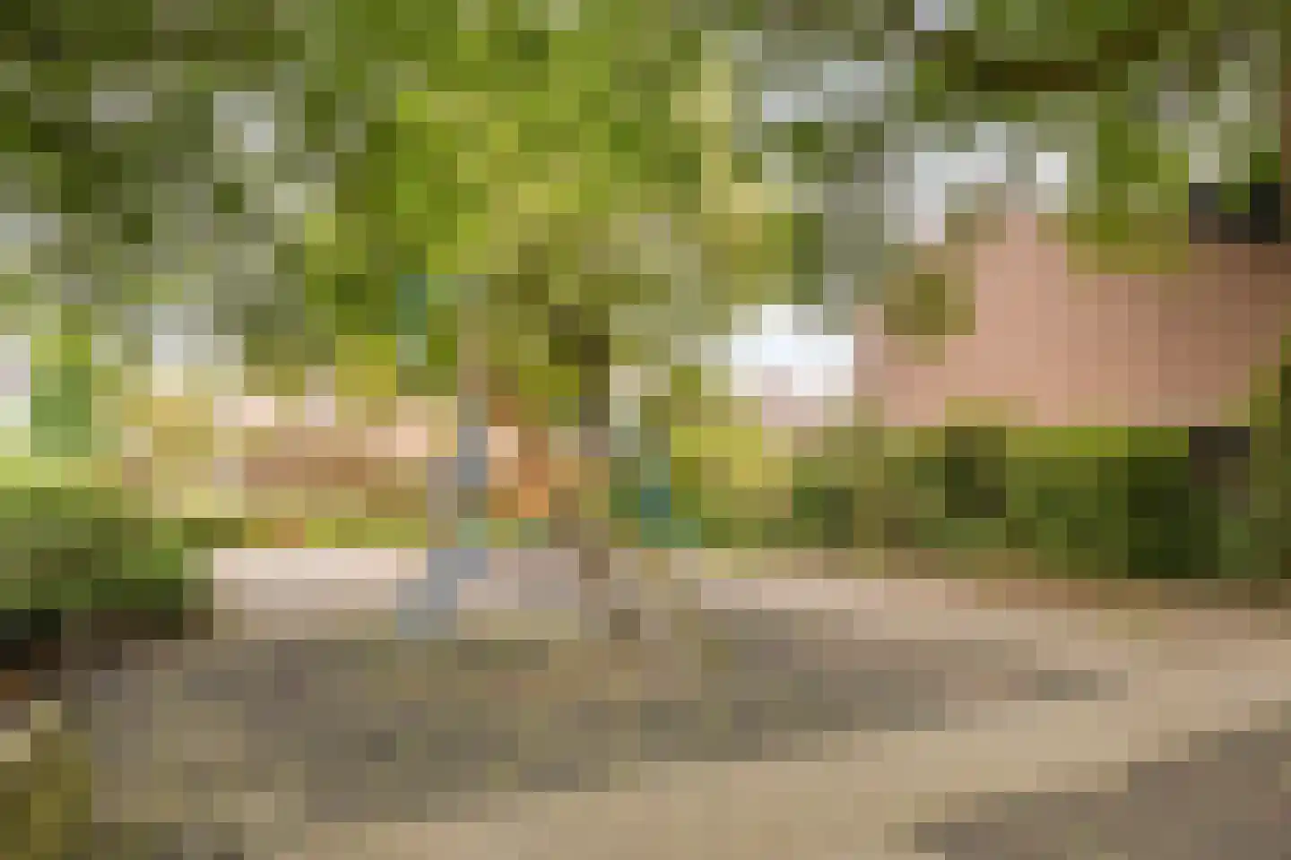 Fazantenkamp 405 Maarssen thumbnail 39