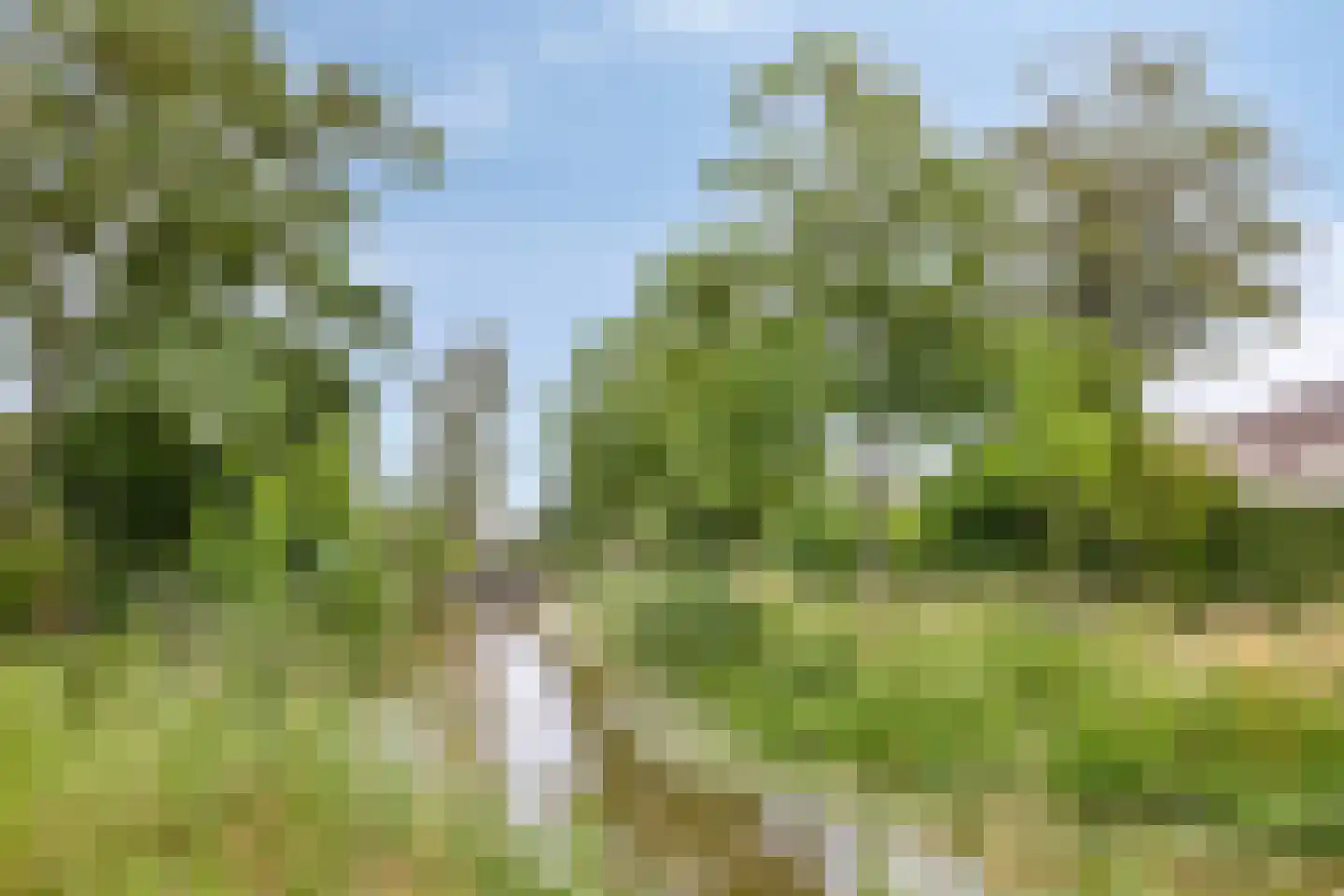 Fazantenkamp 405 Maarssen thumbnail 40