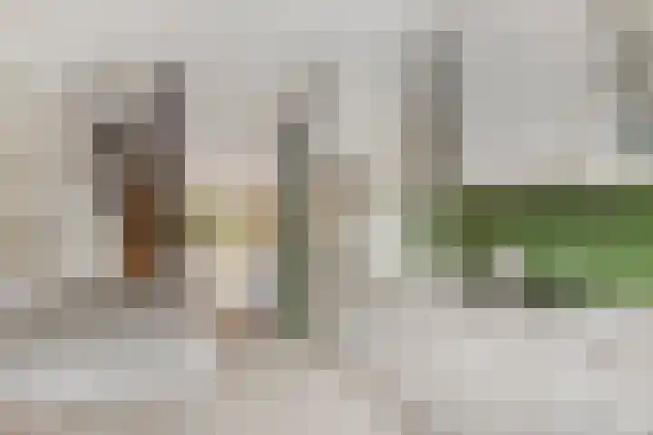 Fazantenkamp 416 Maarssen thumbnail 14