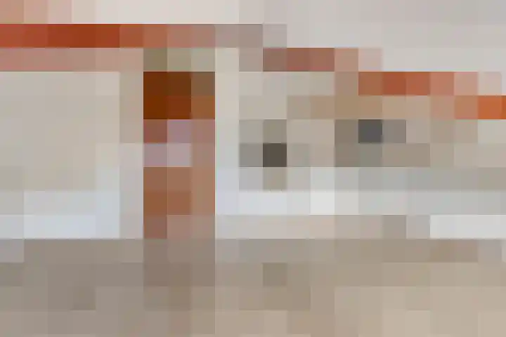 Fazantenkamp 416 Maarssen thumbnail 25
