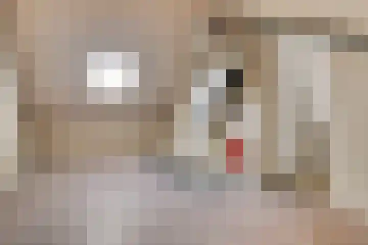 Fazantenkamp 416 Maarssen thumbnail 27