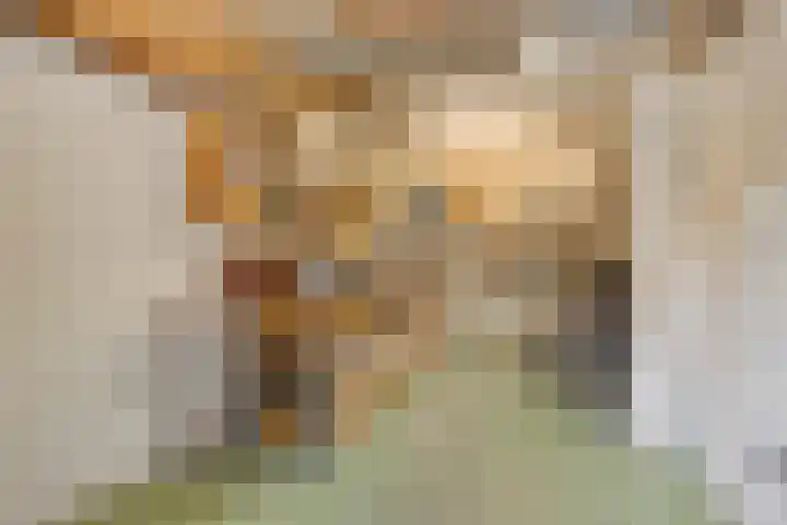 Fazantenkamp 416 Maarssen thumbnail 29