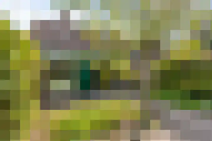 Fazantenkamp 416 Maarssen thumbnail 31
