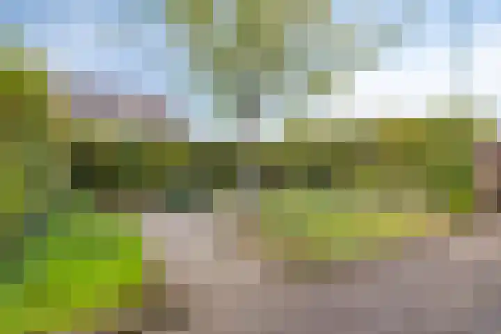 Fazantenkamp 416 Maarssen thumbnail 32