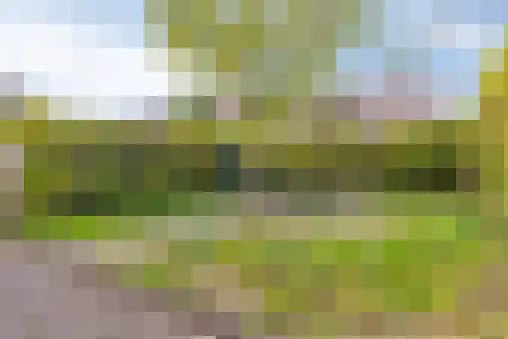 Fazantenkamp 416 Maarssen thumbnail 33