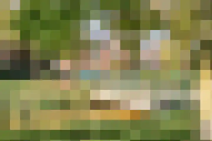 Fazantenkamp 416 Maarssen thumbnail 34