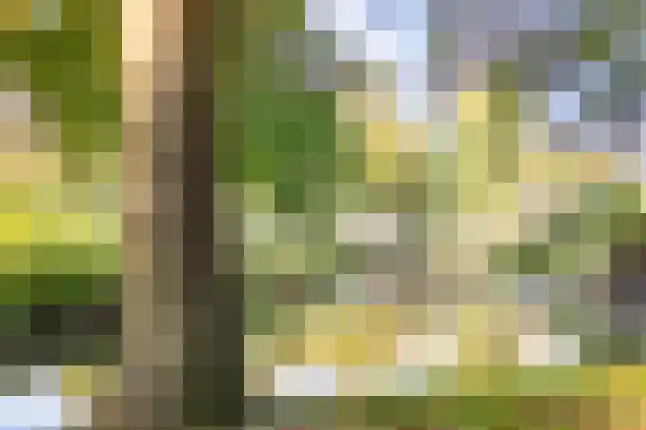 Fazantenkamp 416 Maarssen thumbnail 35