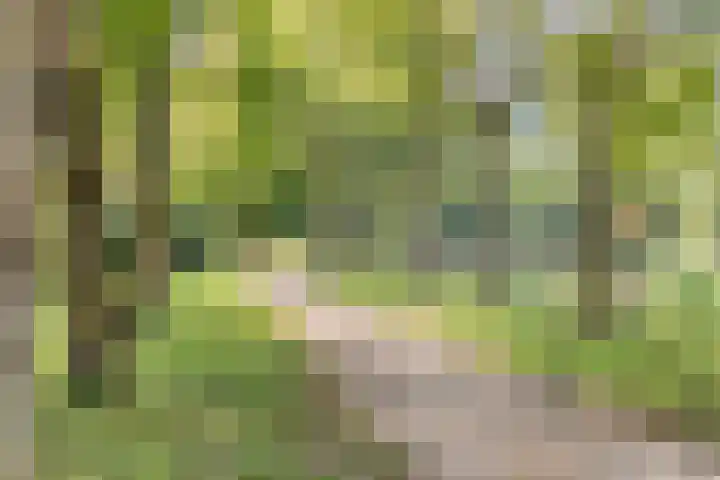 Fazantenkamp 416 Maarssen thumbnail 36