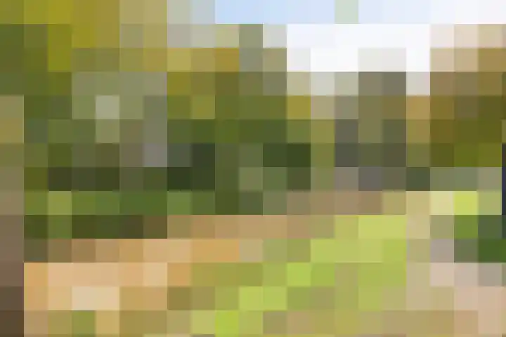 Fazantenkamp 416 Maarssen thumbnail 37