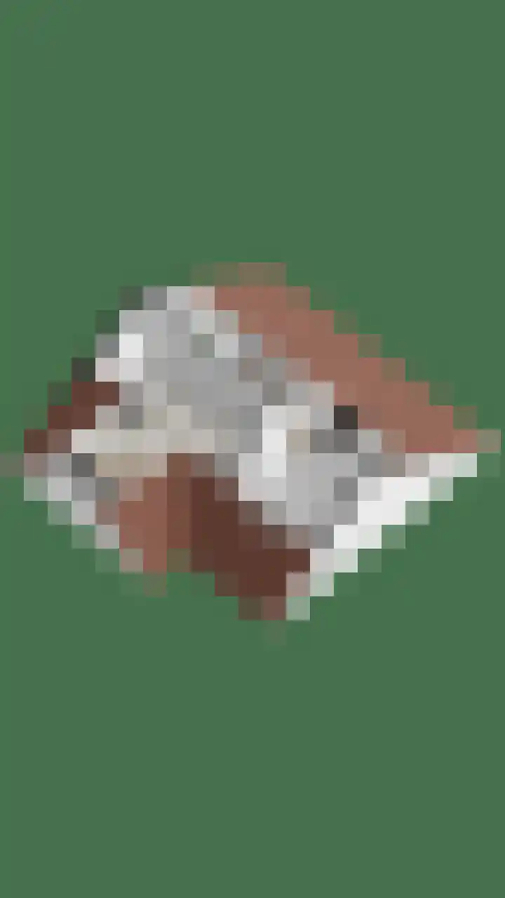 Fazantenkamp 416 Maarssen thumbnail 44