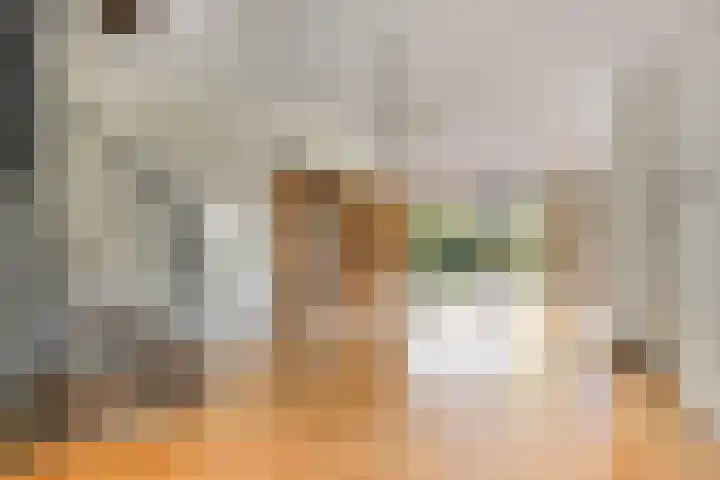 Fazantenkamp 416 Maarssen thumbnail 7