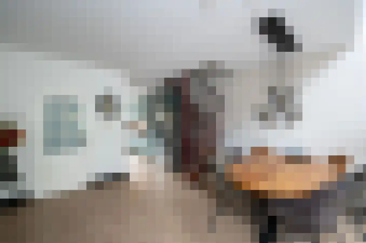 Fazantenkamp 417 Maarssen thumbnail 11