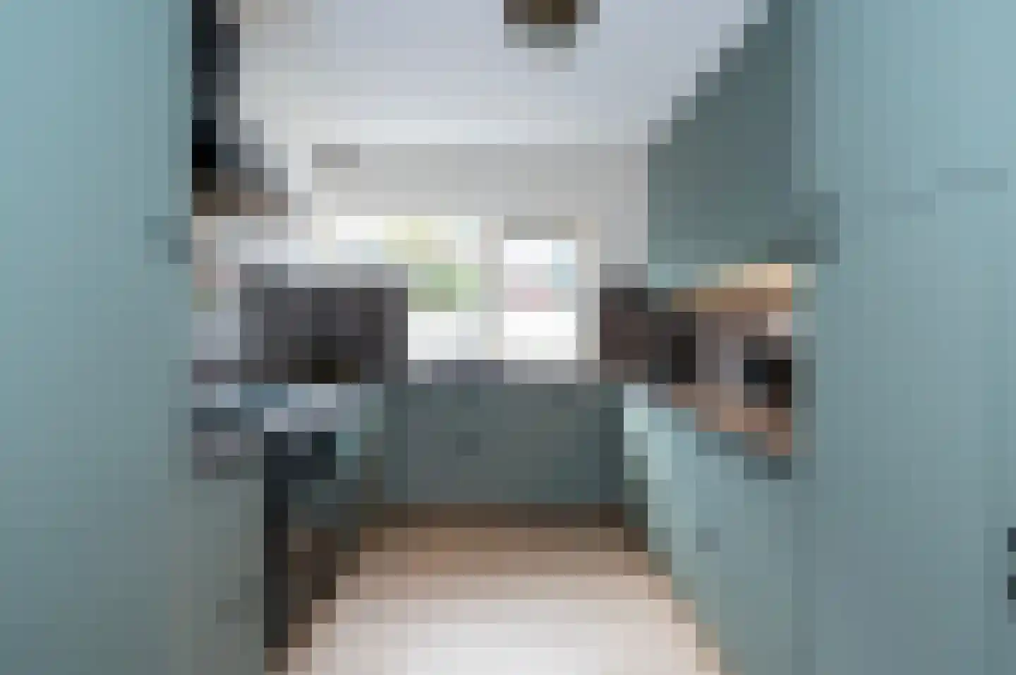 Fazantenkamp 417 Maarssen thumbnail 13