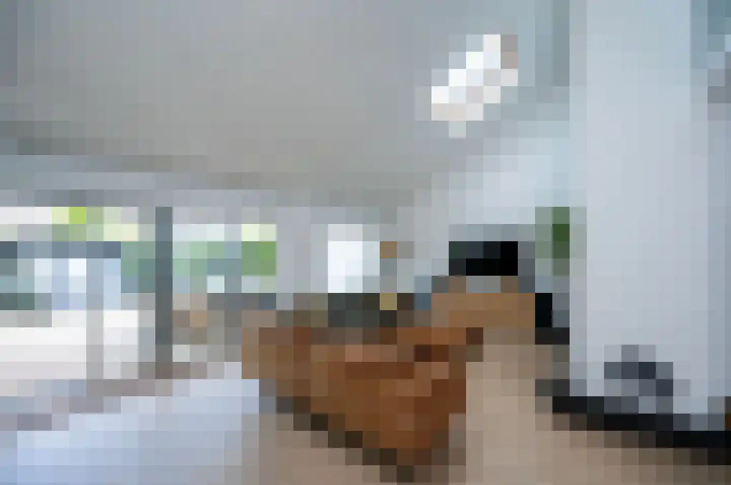 Fazantenkamp 417 Maarssen thumbnail 21