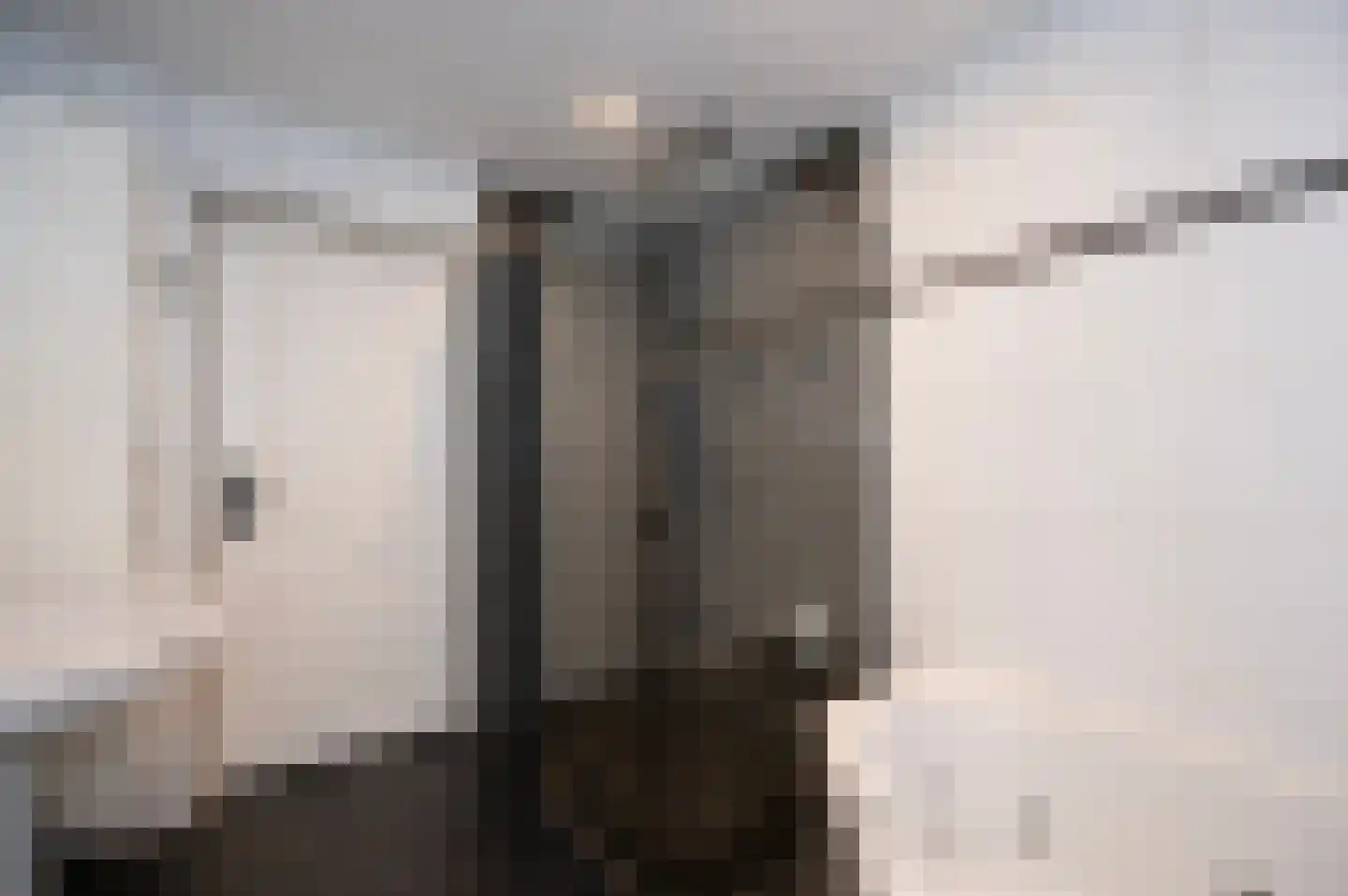 Fazantenkamp 417 Maarssen thumbnail 27