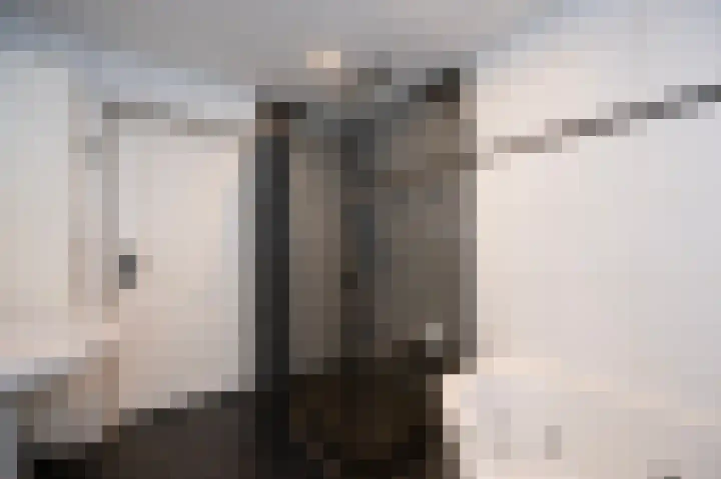 Fazantenkamp 417 Maarssen thumbnail 27