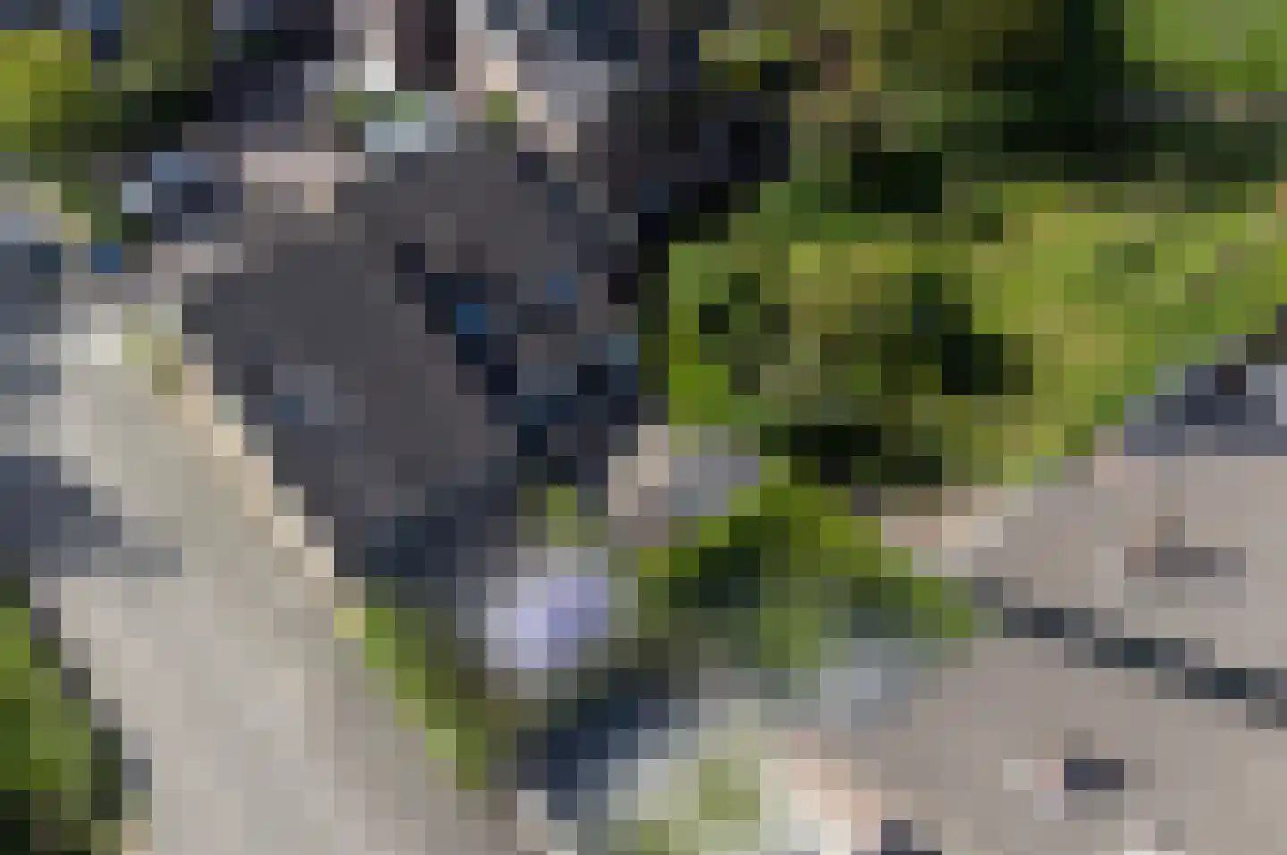 Fazantenkamp 417 Maarssen thumbnail 42