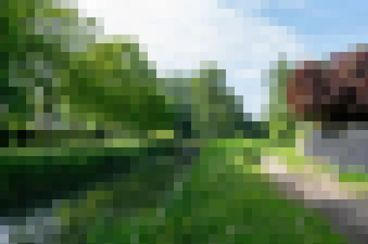 Fazantenkamp 417 Maarssen thumbnail 44