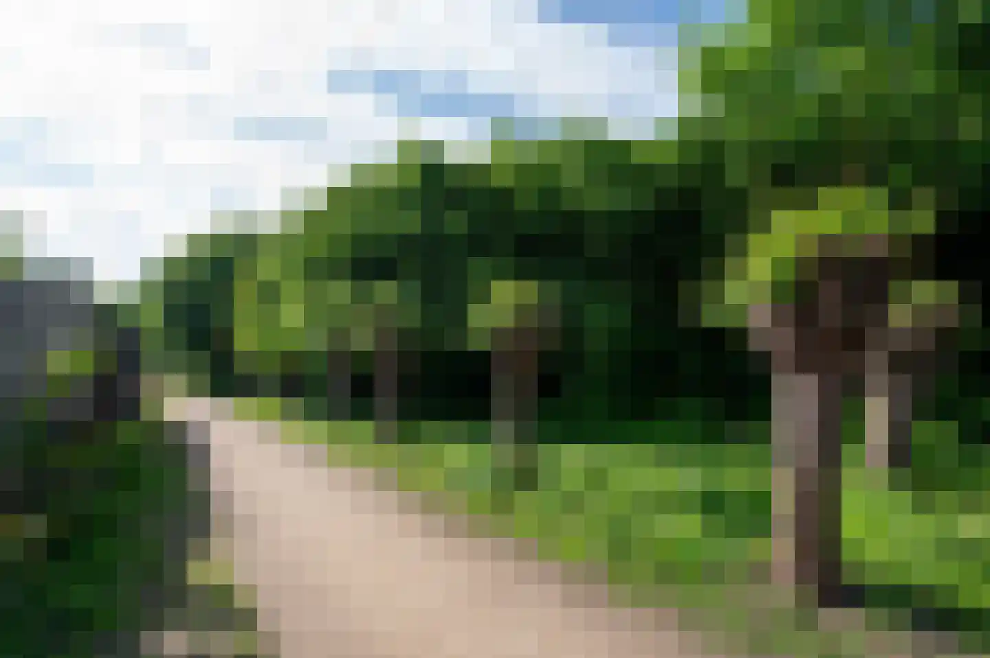 Fazantenkamp 417 Maarssen thumbnail 45