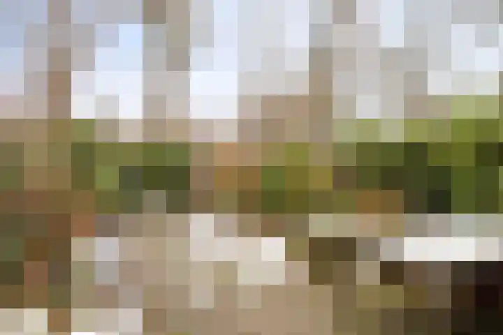 Fazantenkamp 44 Maarssen thumbnail 12