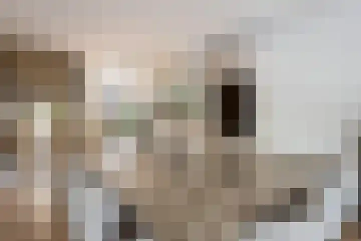 Fazantenkamp 444 Maarssen thumbnail 11