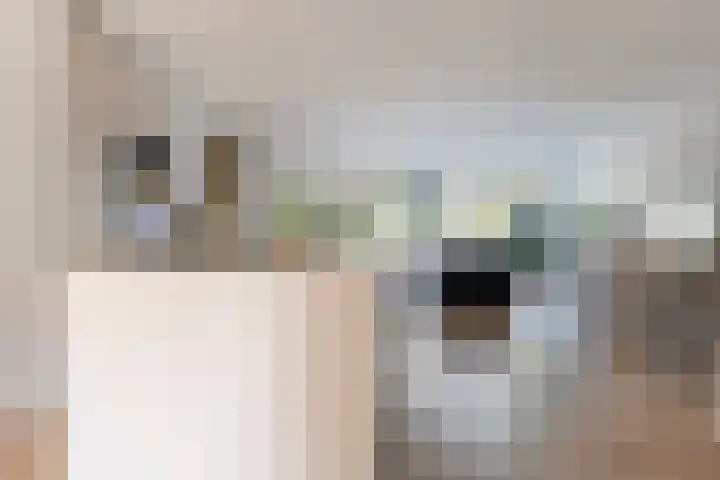 Fazantenkamp 444 Maarssen thumbnail 15