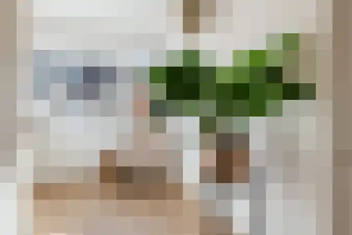 Fazantenkamp 444 Maarssen thumbnail 17