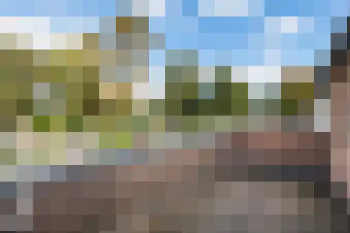 Fazantenkamp 444 Maarssen thumbnail 23