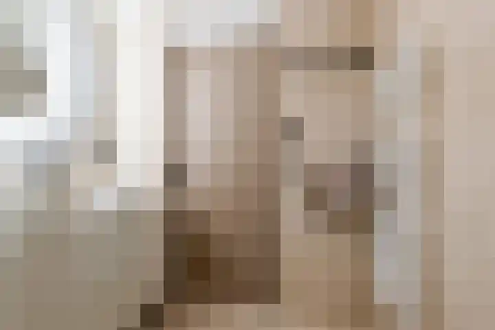 Fazantenkamp 444 Maarssen thumbnail 31