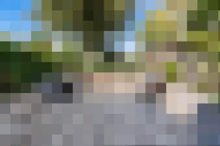 Fazantenkamp 444 Maarssen thumbnail 36