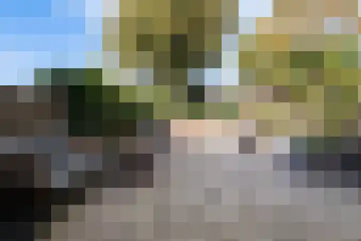 Fazantenkamp 444 Maarssen thumbnail 38