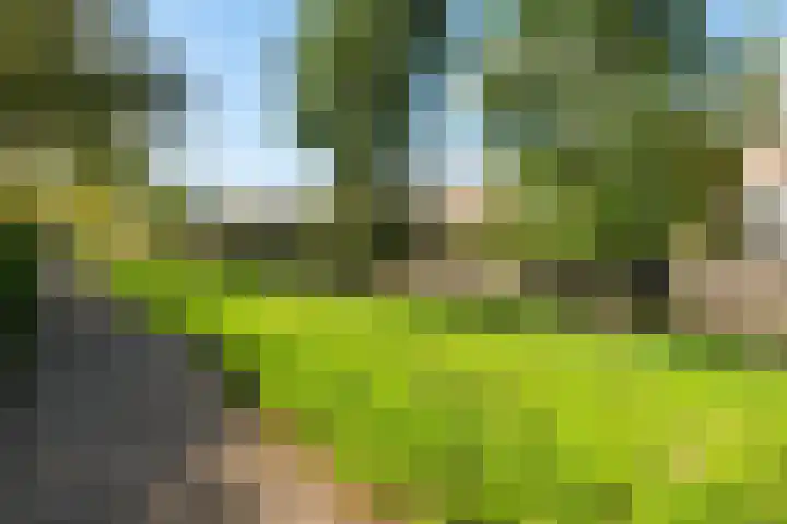 Fazantenkamp 444 Maarssen thumbnail 39
