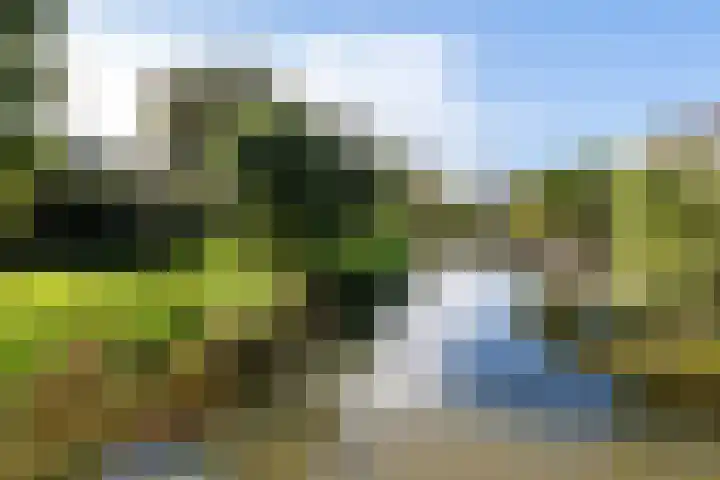 Fazantenkamp 444 Maarssen thumbnail 40
