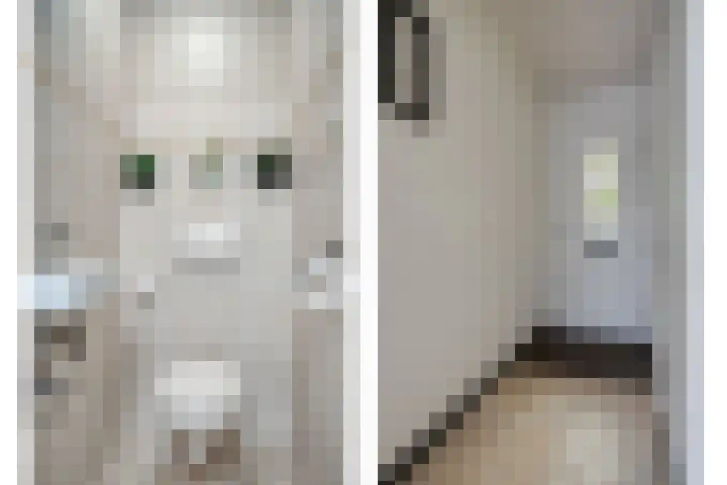 Fazantenkamp 500 Maarssen thumbnail 10