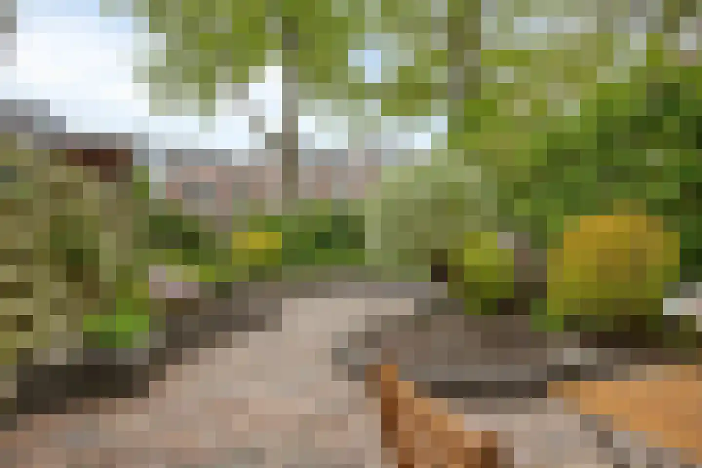 Fazantenkamp 500 Maarssen thumbnail 20