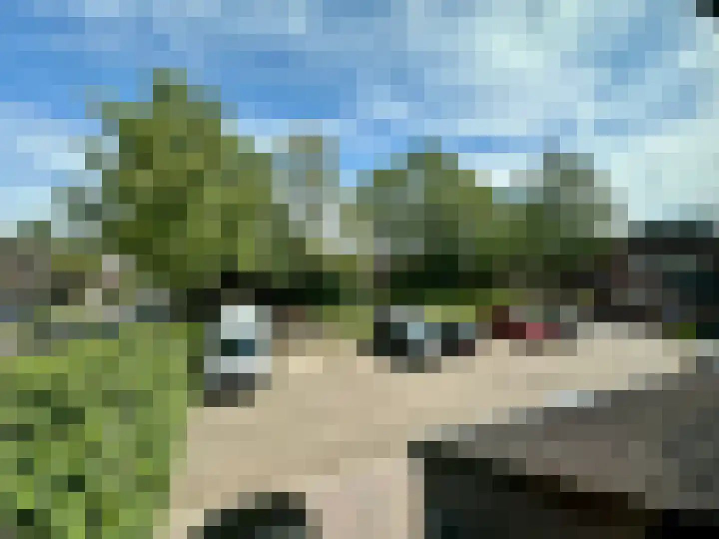 Fazantenkamp 500 Maarssen thumbnail 30