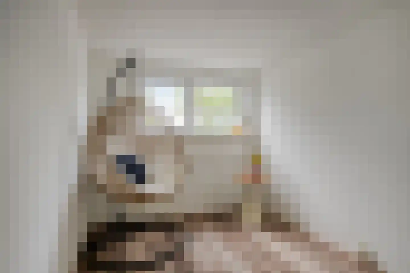 Fazantenkamp 500 Maarssen thumbnail 8