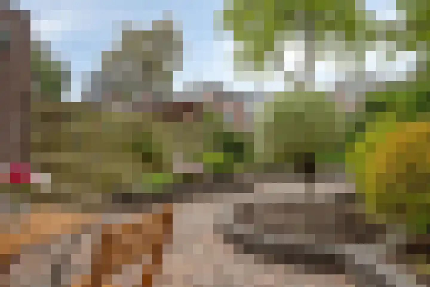 Fazantenkamp 500 Maarssen thumbnail 9