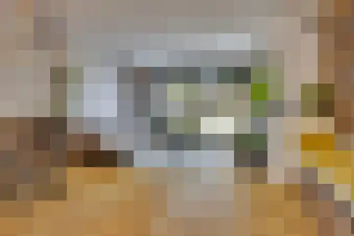Fazantenkamp 51 Maarssen thumbnail 14