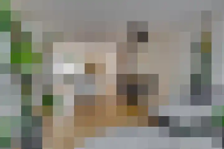 Fazantenkamp 51 Maarssen thumbnail 16