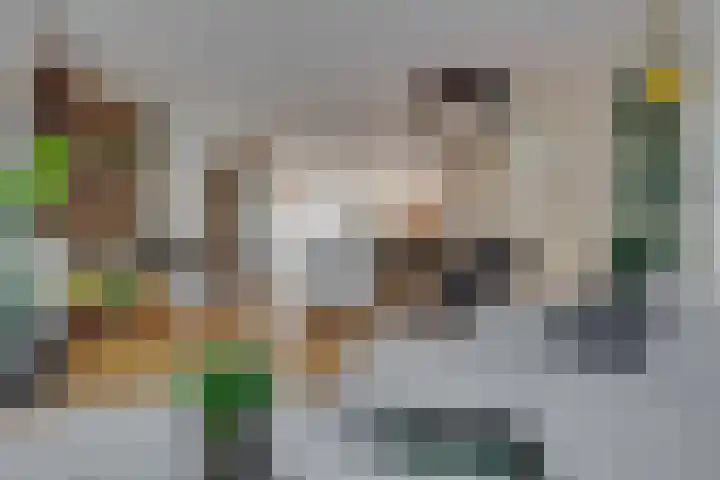 Fazantenkamp 51 Maarssen thumbnail 17