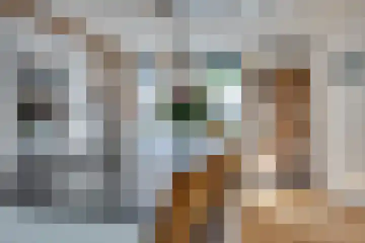 Fazantenkamp 51 Maarssen thumbnail 20