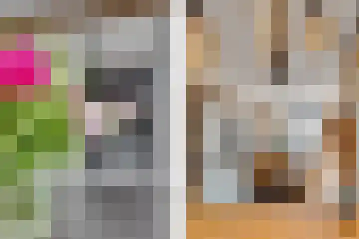 Fazantenkamp 51 Maarssen thumbnail 21