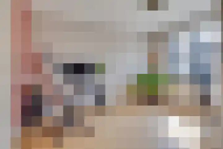 Fazantenkamp 51 Maarssen thumbnail 23